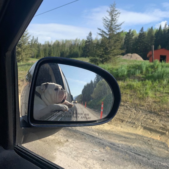 Meet your Posher, Mary - Picture 1 of 1